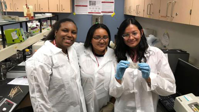 Students in lab coats